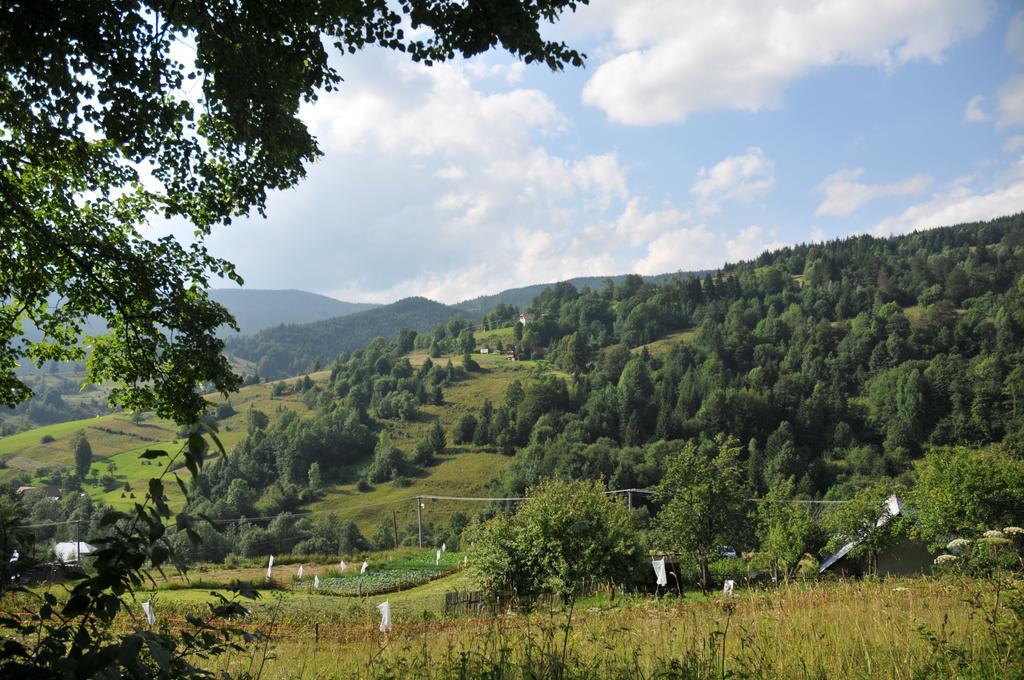 Drevenicka 110 Villa Zázrivá Eksteriør billede