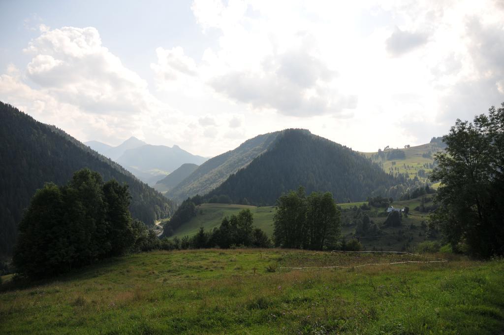 Drevenicka 110 Villa Zázrivá Eksteriør billede